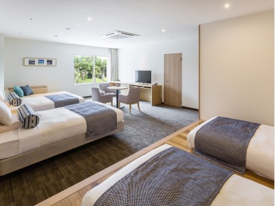 【デラックスフォース】