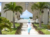 �r�[�`�e���X