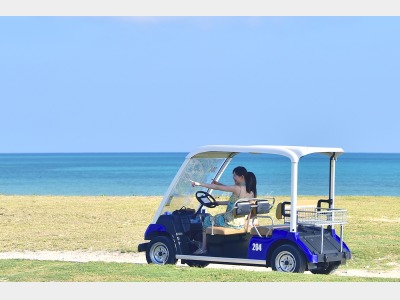 レンタルカート