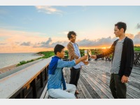 �C�J�t�F�E����J�t�F �C���[�W