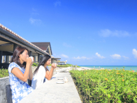 �C�J�t�F�E����J�t�F �C���[�W