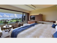 �I�[�V�����r���[�v���~�A�b�q��