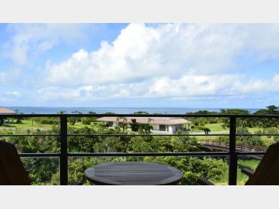 オーシャンビュープレミア｜テラス