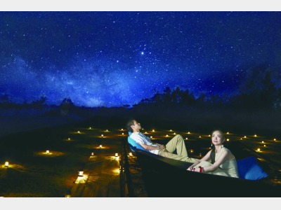 テインガーラハンモックイメージ