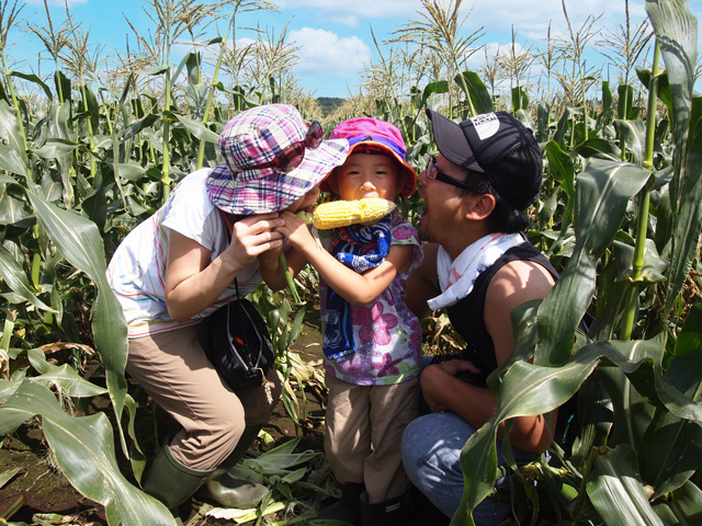 いただきますカンパニー