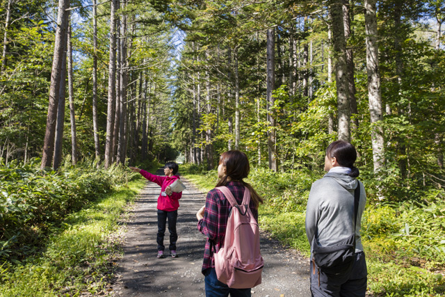 大江本家「丘と畑の早朝ウォーク」