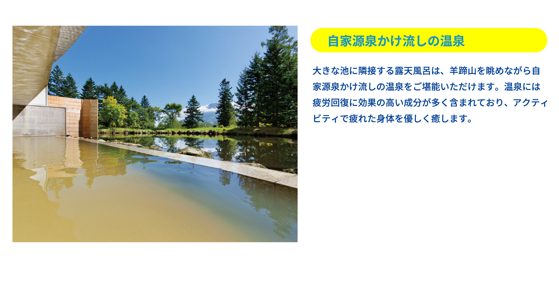 自家源泉かけ流しの温泉