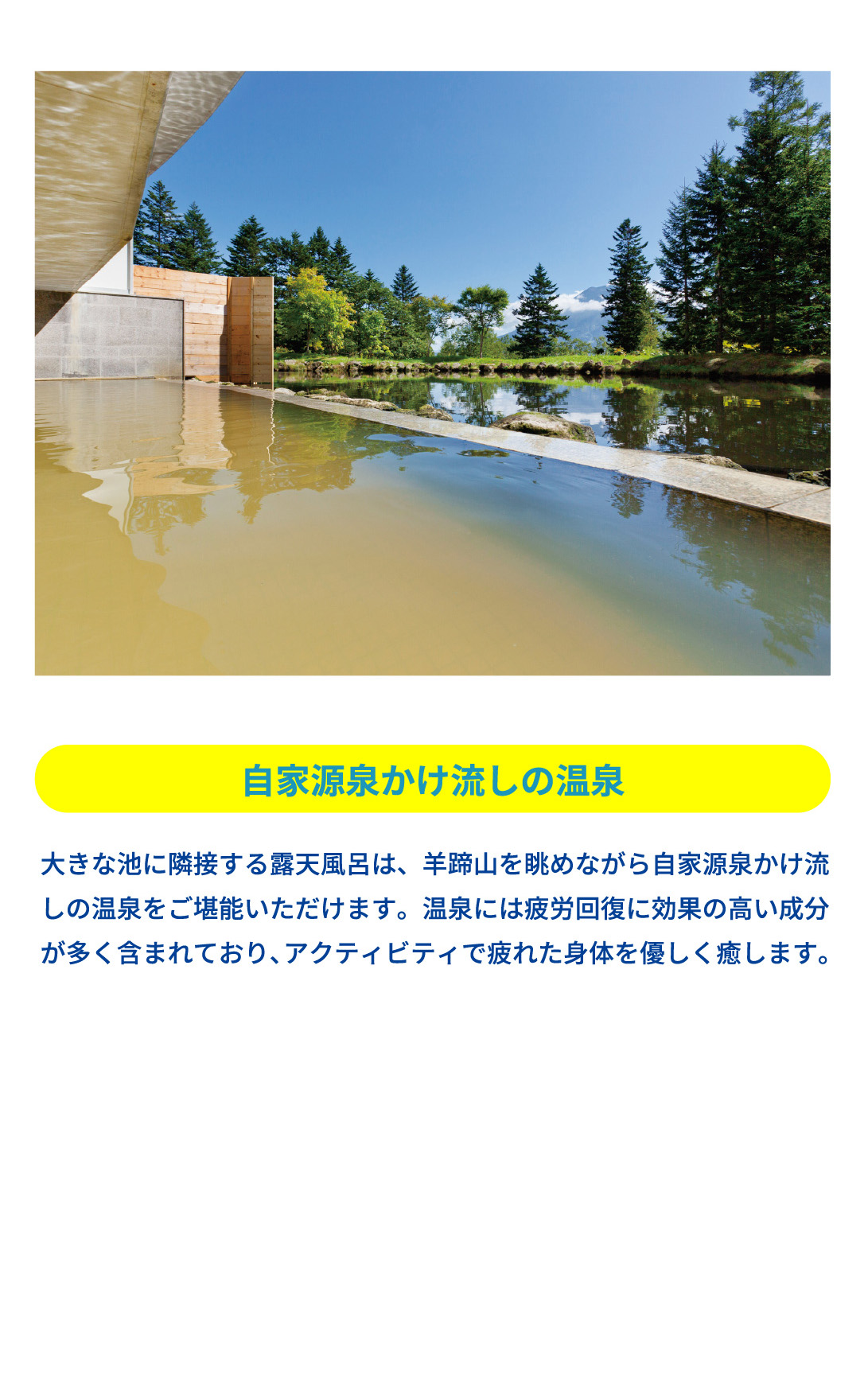 自家源泉かけ流しの温泉