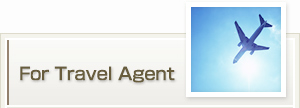 For Travel Agent