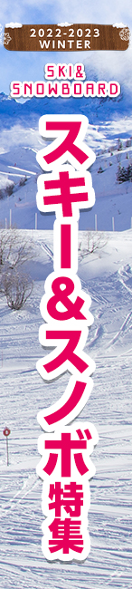 �X�L�[�E�X�m�{���W