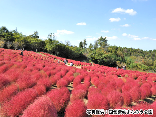 国営讃岐まんのう公園
