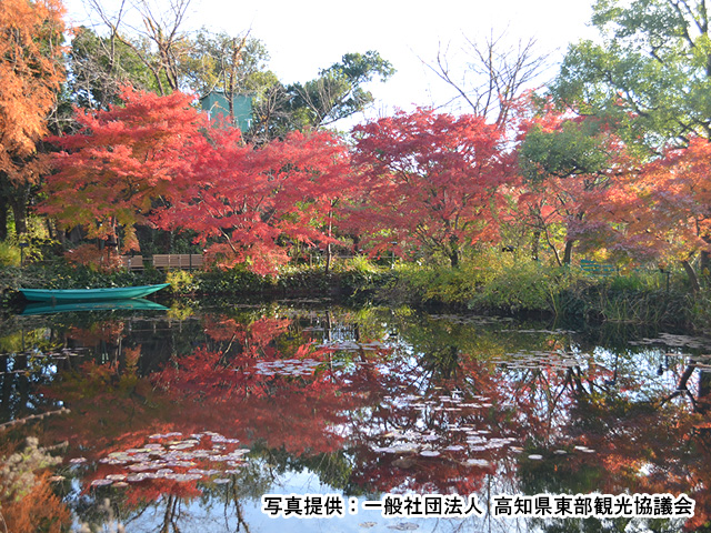 北川村「モネの庭」マルモッタン