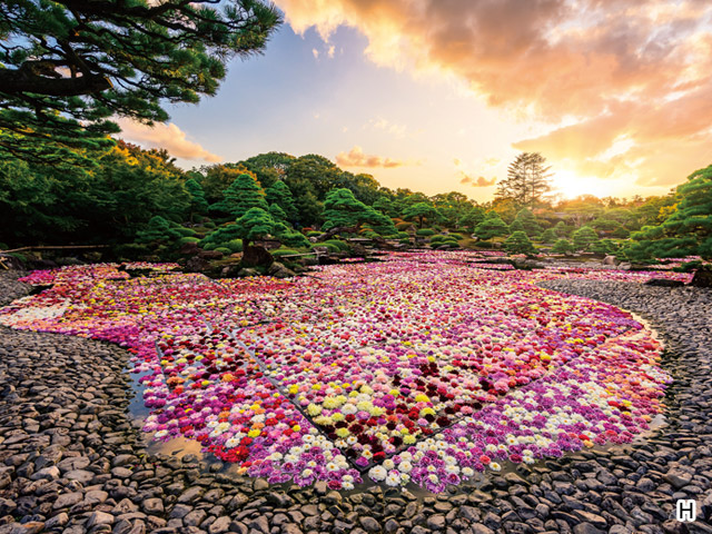 日本庭園 由志園