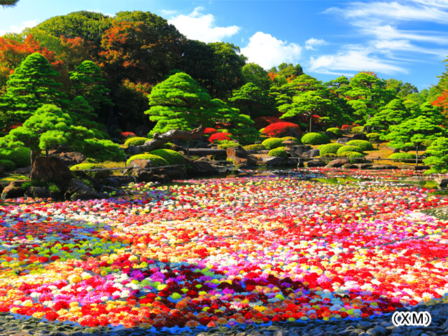 日本庭園 由志園