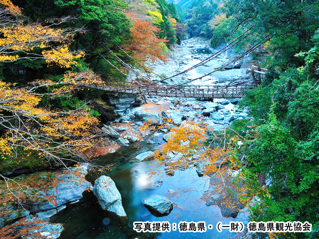 祖谷のかずら橋