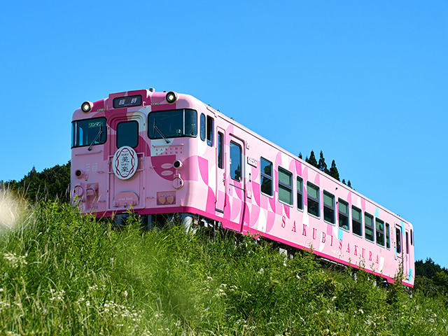 SAKU美SAKU楽