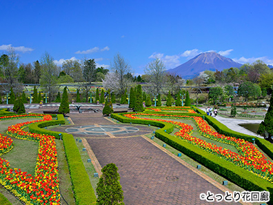 とっとり花回廊