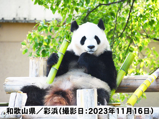 和歌山県／彩浜