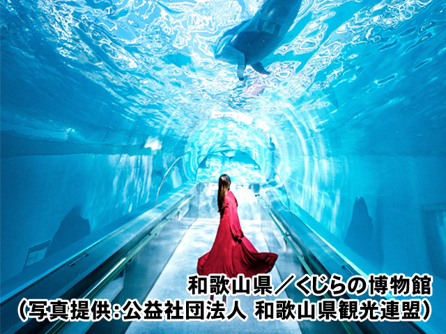 和歌山県／くじらの博物館