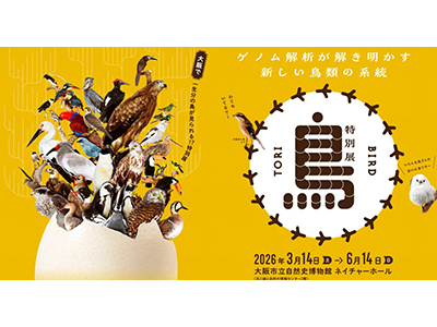【2026年2月】特別展「鳥~ゲノム解析が解き明かす新しい鳥類の系統~」大阪展