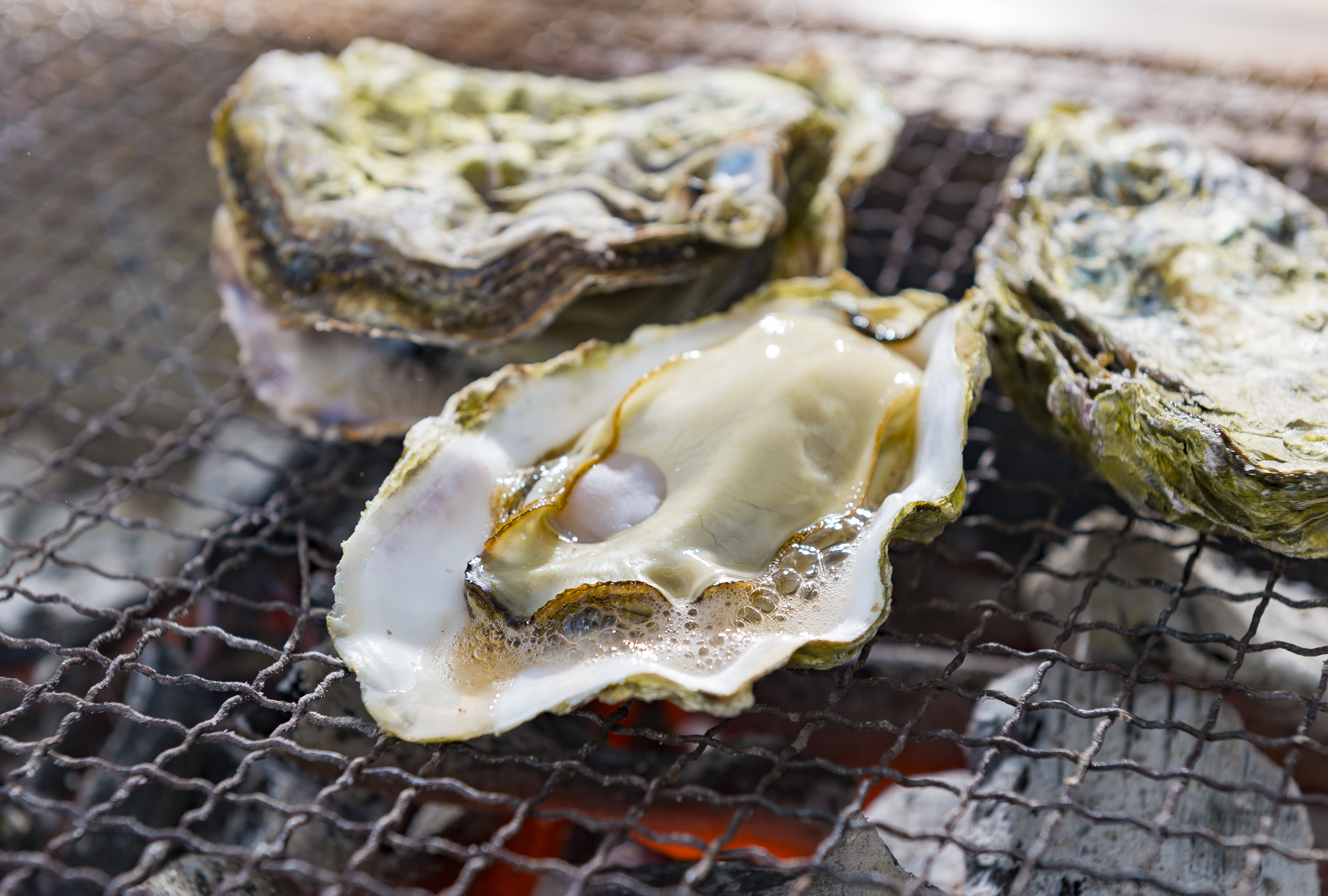 浜焼き（イメージ）