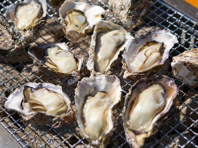 焼き牡蠣食べ放題・イメージ