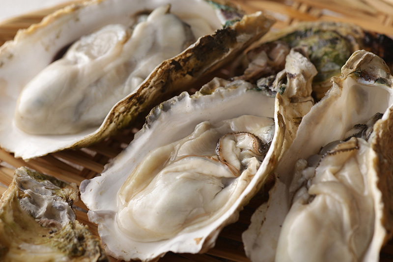 牡蠣 イメージ（XM）