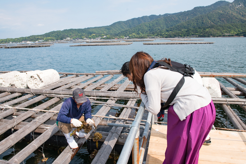 体験の様子　イメージ