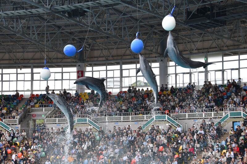 マリンワールドイメージ