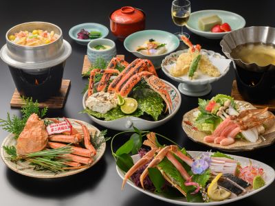 極みプラン　おとな1人前（イメージ）