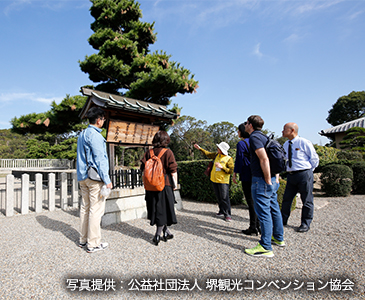 ゆっくり古墳散策～古墳に登れる特別版～