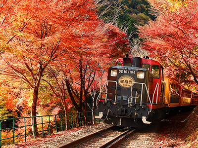 【2025年10月】嵯峨野トロッコ列車で行く「鹿王院」夜の特別拝観・プレミアム狂言鑑賞