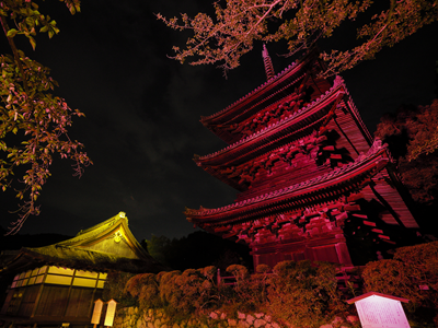 【2026年7月西の日】三井寺妖怪ナイト2026
