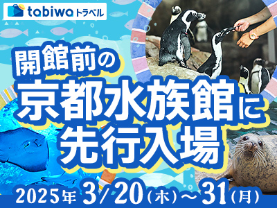 【2025年2月】tabiwa限定でワークショップも先行開催!開館前の京都水族館に先行入場