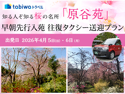 【2026年1月】知る人ぞ知る桜の名所「原谷苑」早朝先行入苑　往復タクシー送迎プラン