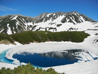 【2026年4月西の日】「富山側入込（片道）／長野側入込（片道）」立山黒部アルペンtabiwaパス