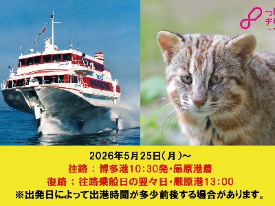 【2026年6月西の日】２泊３日限定 対馬Sea-Trip企画乗船券（宿泊施設利用券・体験・商品券付）