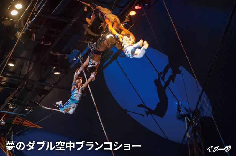 夢のダブル空中ブランコショーのイメージ