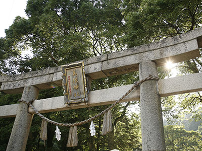 【2025年6月】島根の２大パワースポットを１日でめぐる<br>「出雲大社」と「美保神社」両参りでご利益アップ　日帰り