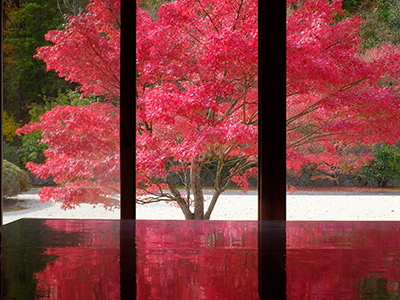 【2025年8月】個人では行きにくい紅葉彩る光信寺と<br>紺碧の湖面に映える錦秋の絶景「帝釈峡クルーズ」日帰り