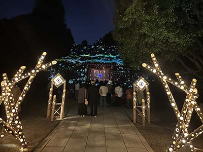 【2025年9月】竹あかり×光のアートin水前寺成趣園<br>Lux Night KUMAMOTO 2025～宮本武蔵の悟りと細川文化～<br>見学＆宿泊プラン