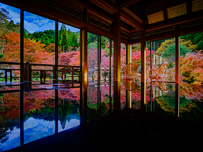 唐津のリゾートホテルに泊まる 福岡・佐賀の紅葉８景めぐり！ ２日間