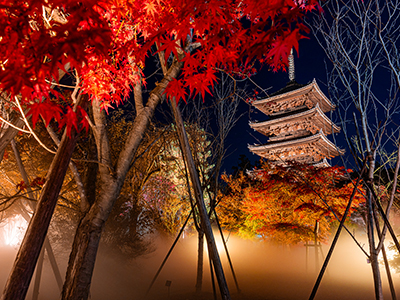 【2025年10月】幽玄の秋～百鬼夜行の伝説が残る妖怪ストリートと仁和寺の怪談夜会
