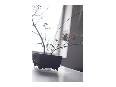 【2025年11月】華道家元池坊・池坊専宗氏によるいけばな披露<br> 560年の地層、美しさの素を辿って