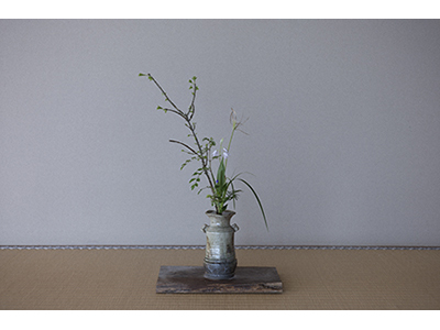 【2025年11月】華道家元池坊・池坊専宗氏によるいけばな披露<br> 560年の地層、美しさの素を辿って