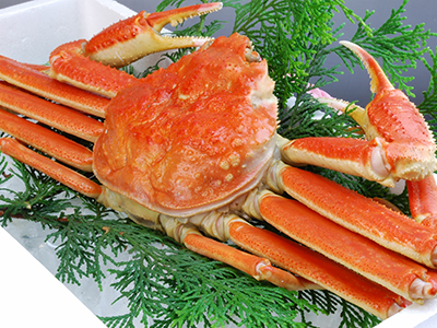 【2025年11月】若狭湾の絶景とズワイガニ1杯付御膳の昼食<br>港町「敦賀」歳末お買い物&ハズレなし抽選会 日帰り