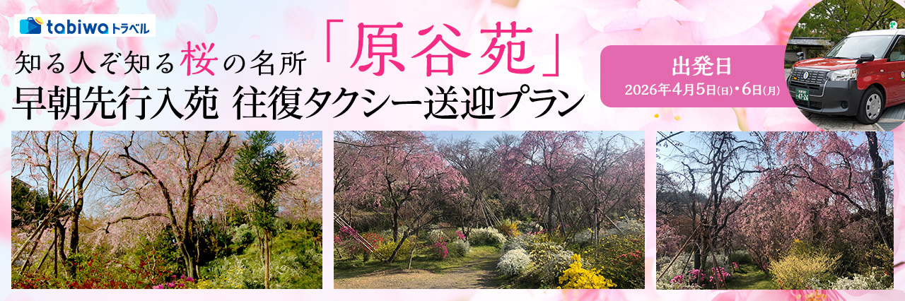 【2026年1月】知る人ぞ知る桜の名所「原谷苑」早朝先行入苑　往復タクシー送迎プラン