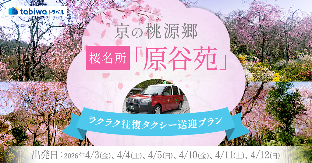 【2026年1月】京の桃源郷 桜名所「原谷苑」 ラクラク往復タクシー送迎プラン
