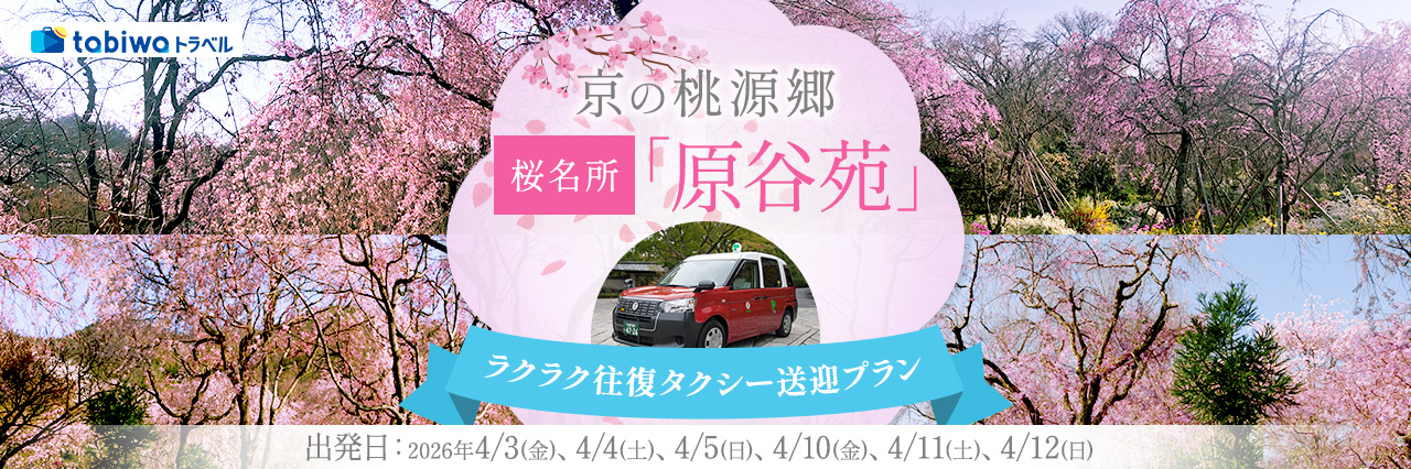 【2026年1月】京の桃源郷 桜名所「原谷苑」 ラクラク往復タクシー送迎プラン