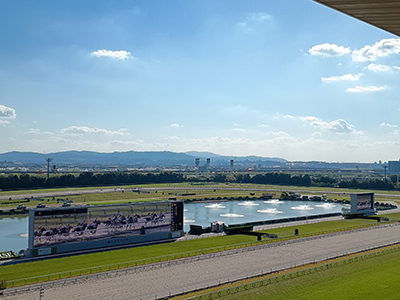午年スペシャル企画！<br> 京都競馬場貴賓室で優雅に楽しむ大人の競馬見学